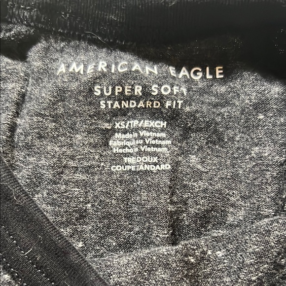 American Eagle Outfitters Gray Long Sleeve Tee with Raglan Sleeves - Picture 2 of 4